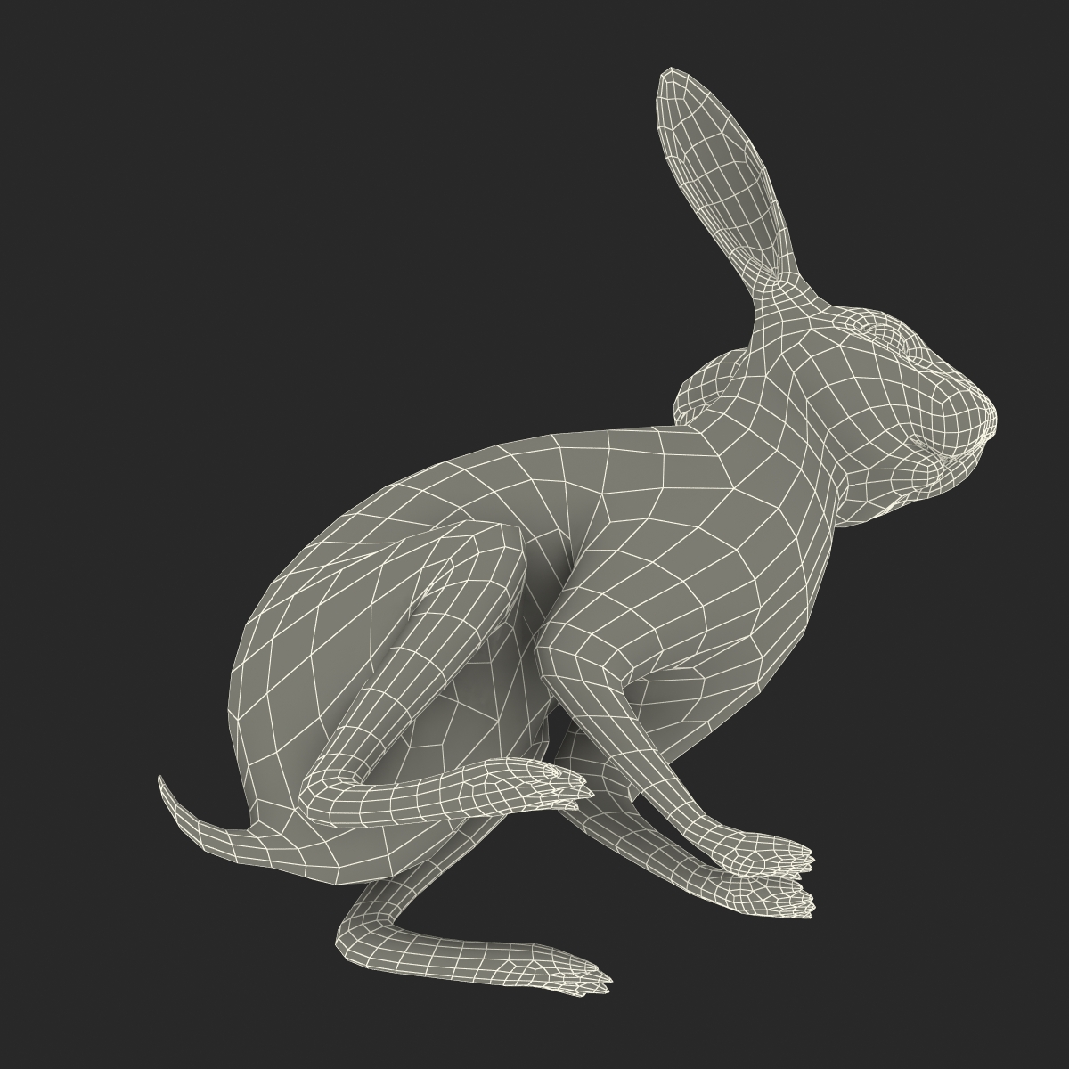 White Rabbit Pose 3 3D model