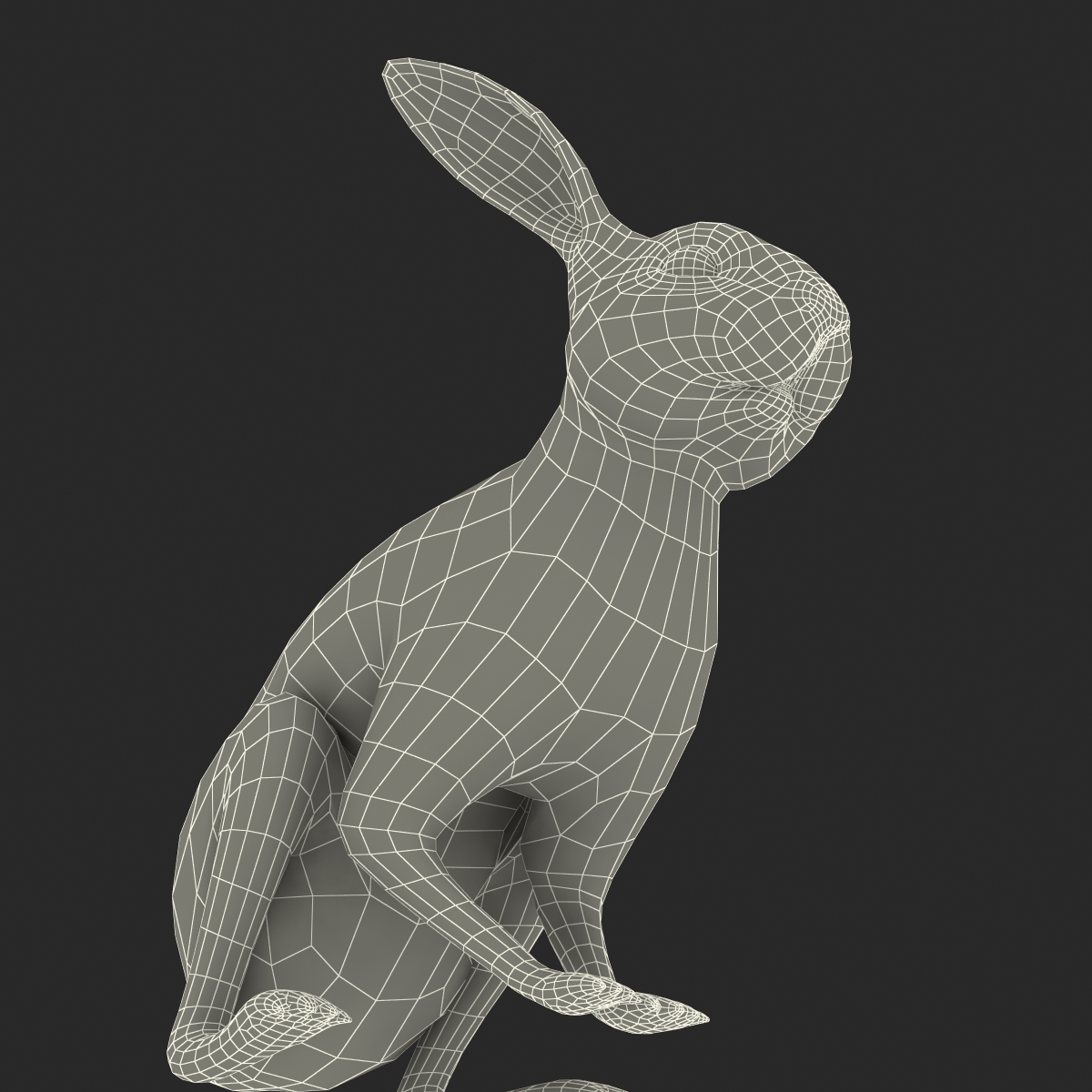 White Rabbit Pose 3 3D model