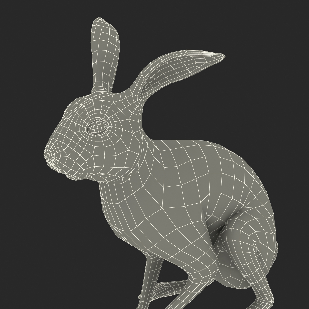 White Rabbit Pose 3 3D model