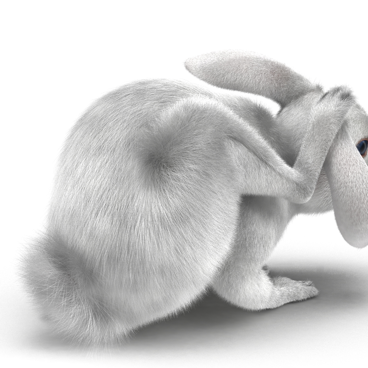 White Rabbit Pose 4 3D model