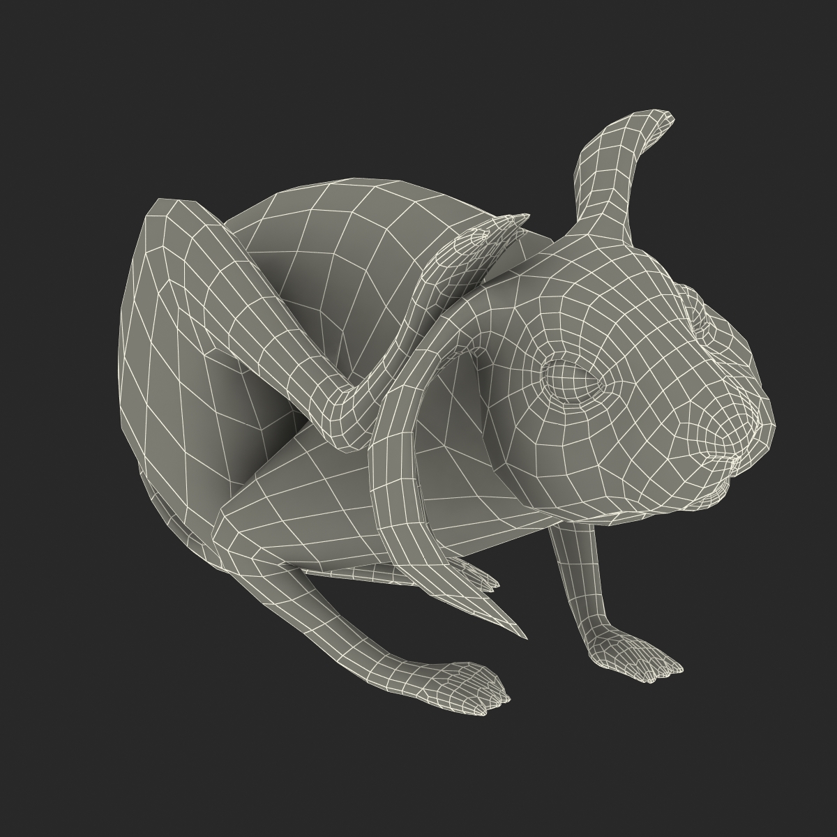 White Rabbit Pose 4 3D model