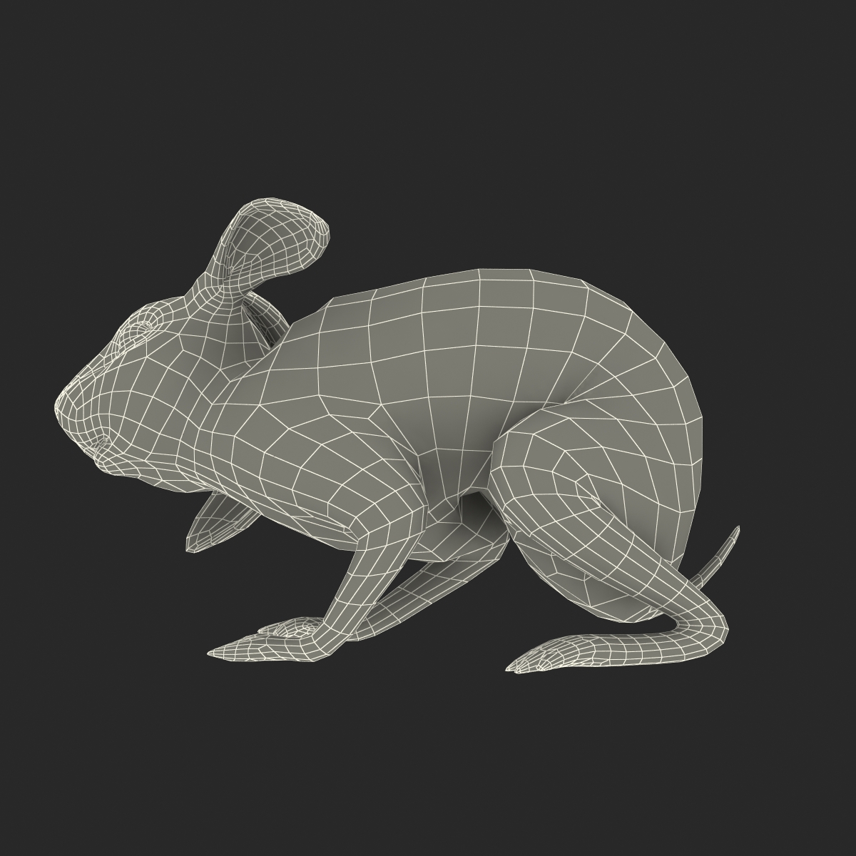 White Rabbit Pose 4 3D model