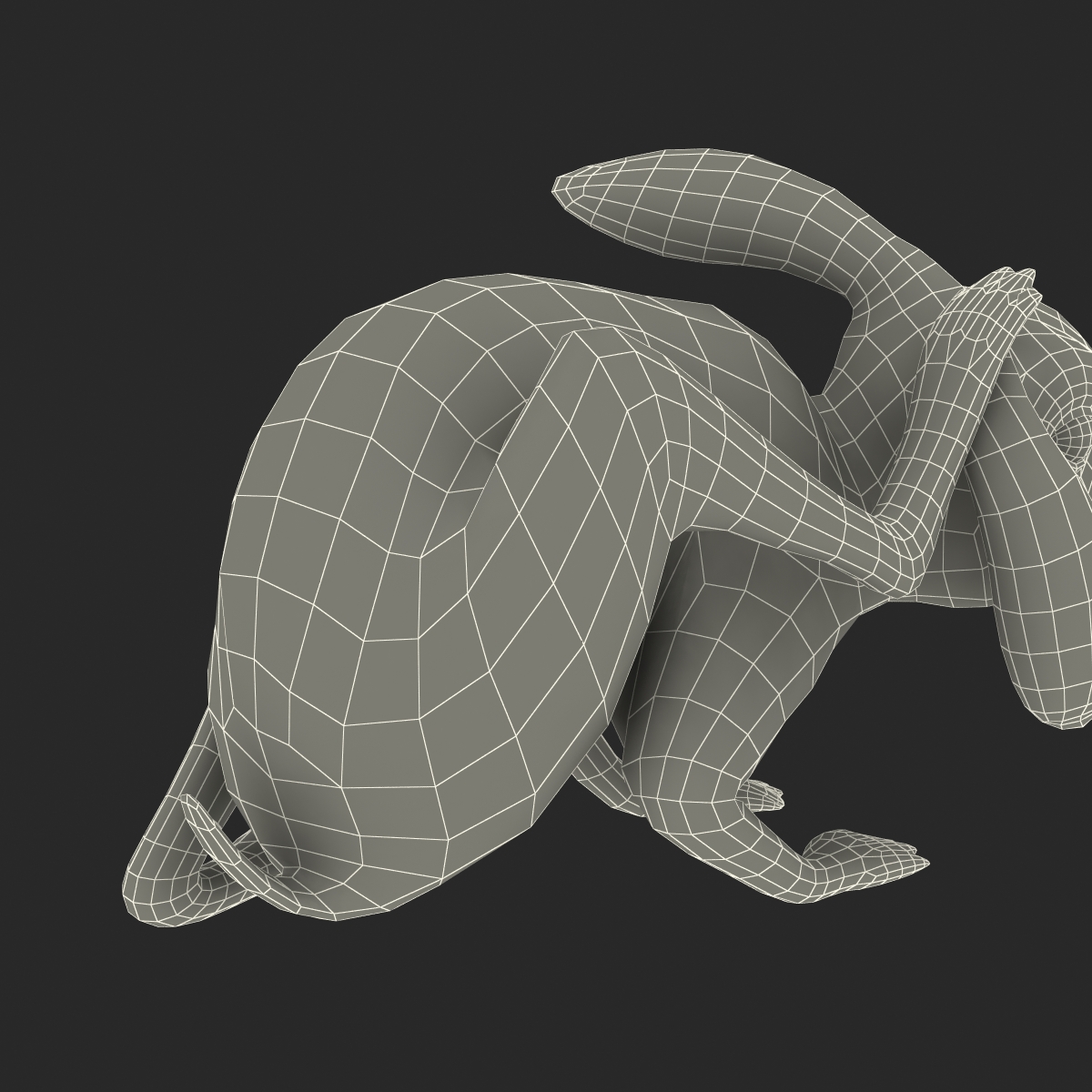 White Rabbit Pose 4 3D model