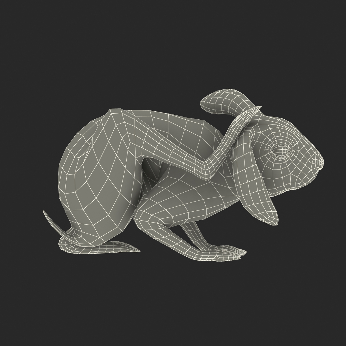 Black Rabbit Pose 4 3D model