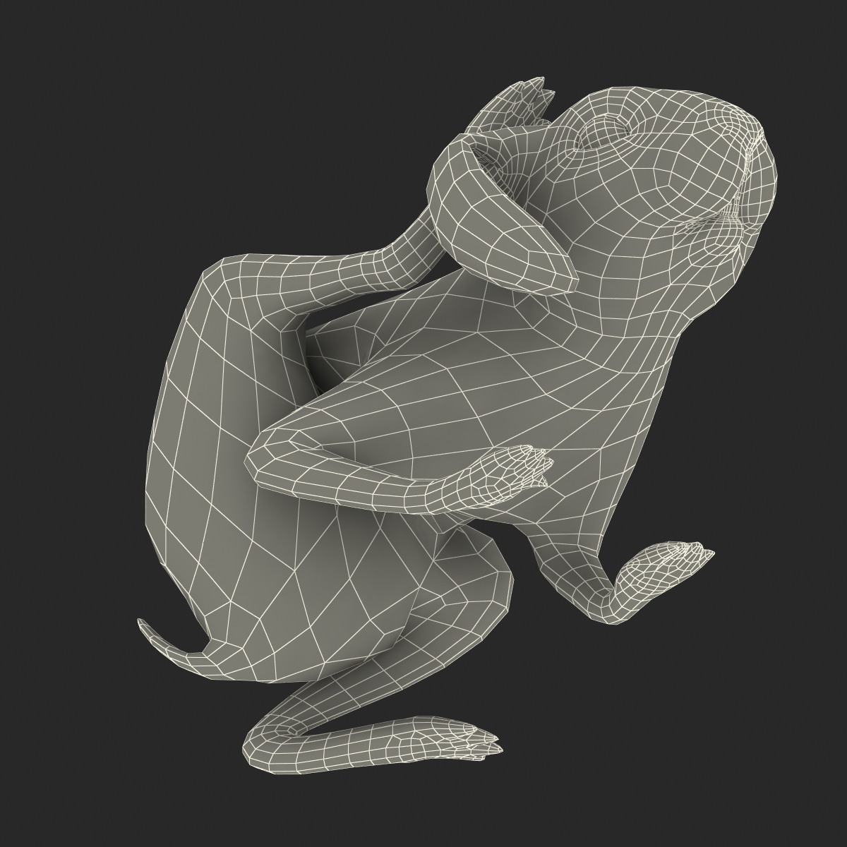 Black Rabbit Pose 4 3D model