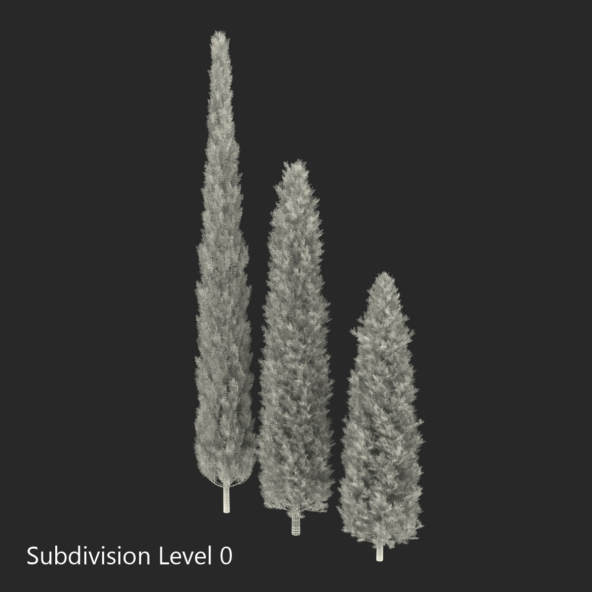 Cypress Trees Set 3D