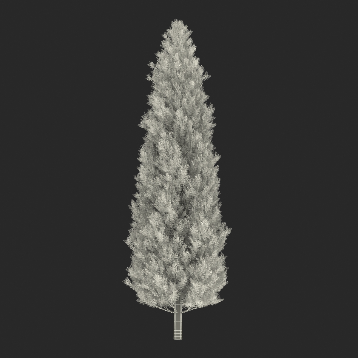 Cypress Trees Set 3D