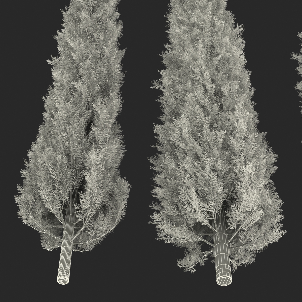 Cypress Trees Set 3D