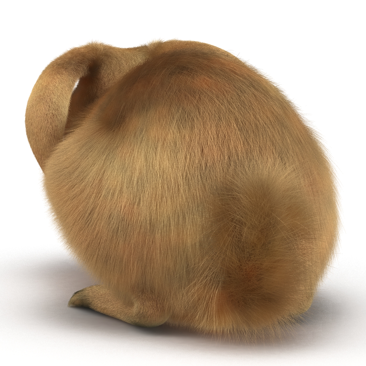 3D Rabbit Pose 2 model