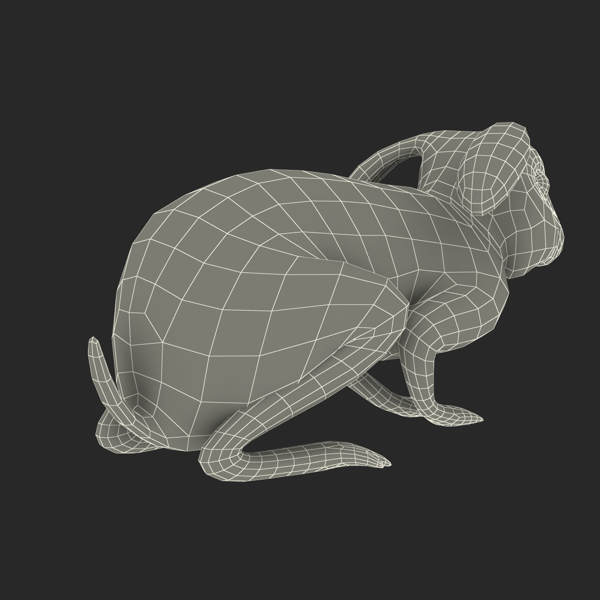 3D Rabbit Pose 2 model