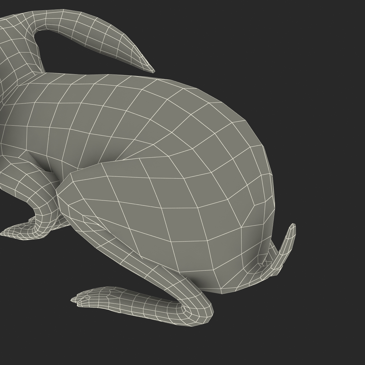 3D Rabbit Pose 2 model