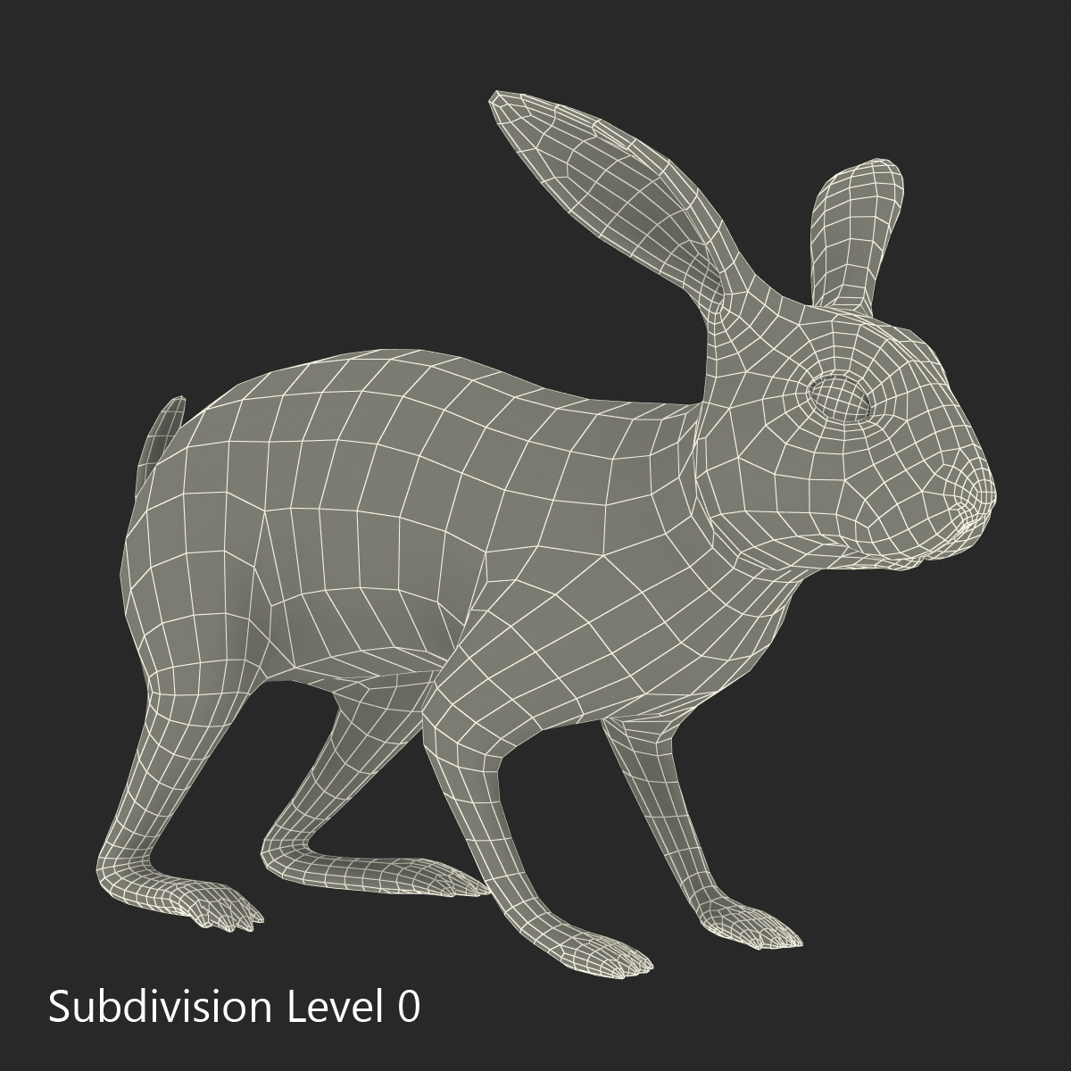 3D Rabbit Rigged model