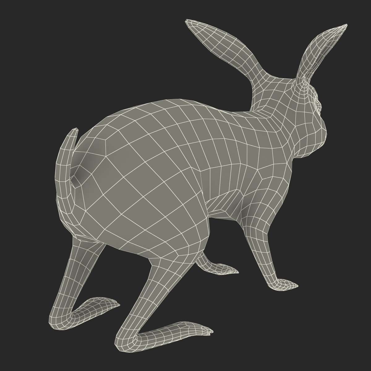 3D Rabbit Rigged model