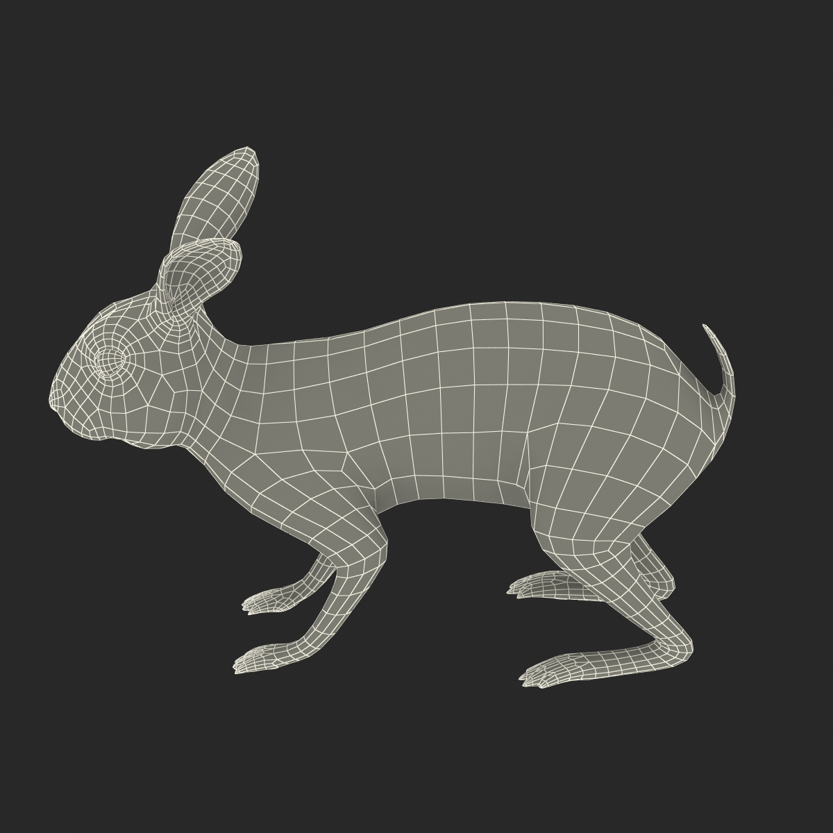 3D Rabbit Rigged model