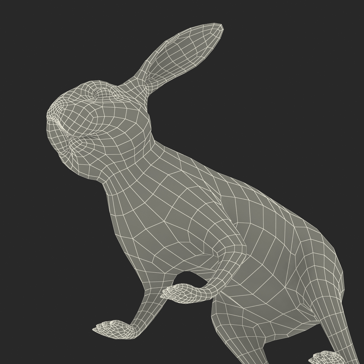 3D Rabbit Rigged model