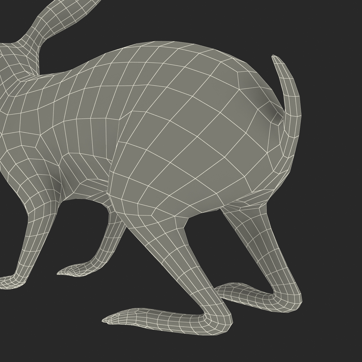 3D Rabbit Rigged model