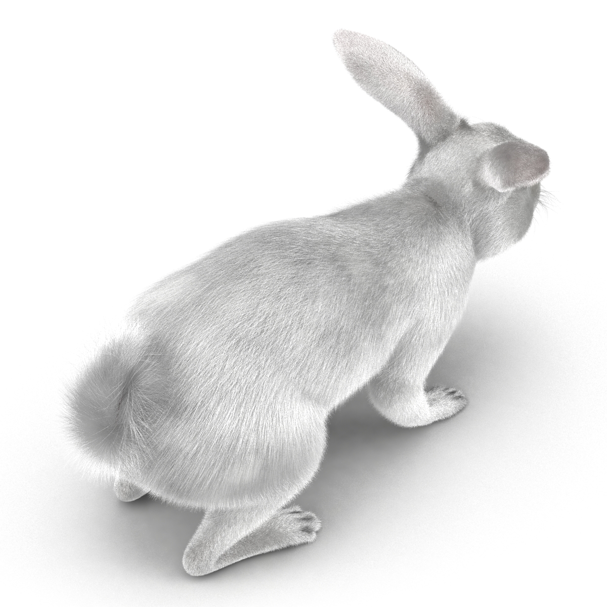 White Rabbit 3D