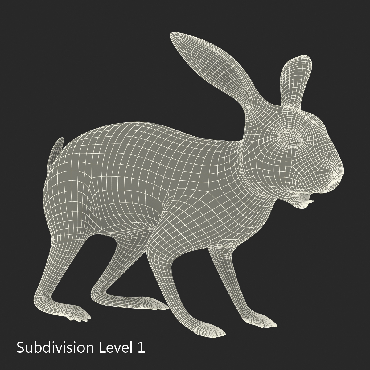 White Rabbit 3D