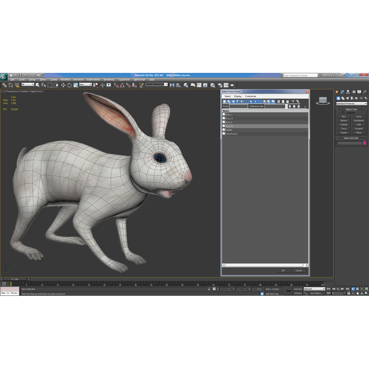 White Rabbit 3D