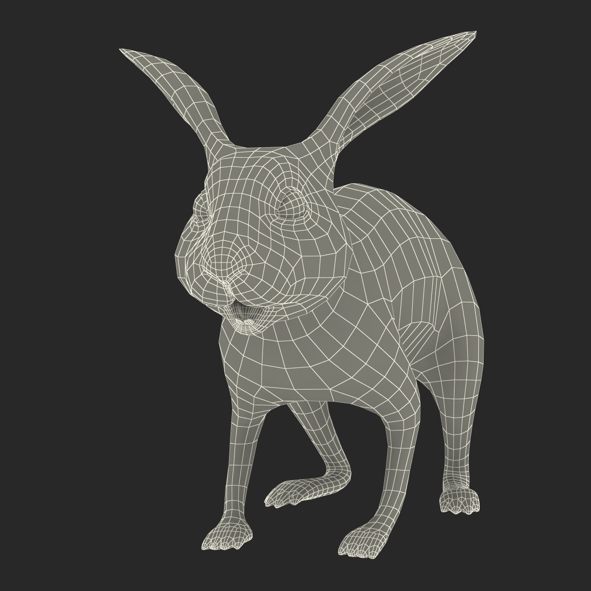 White Rabbit 3D