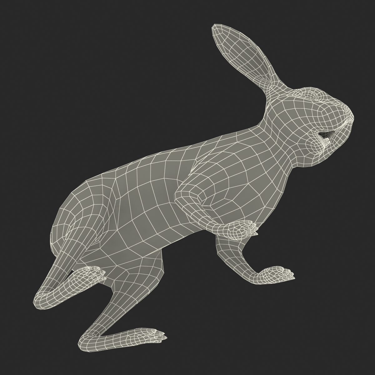 White Rabbit 3D