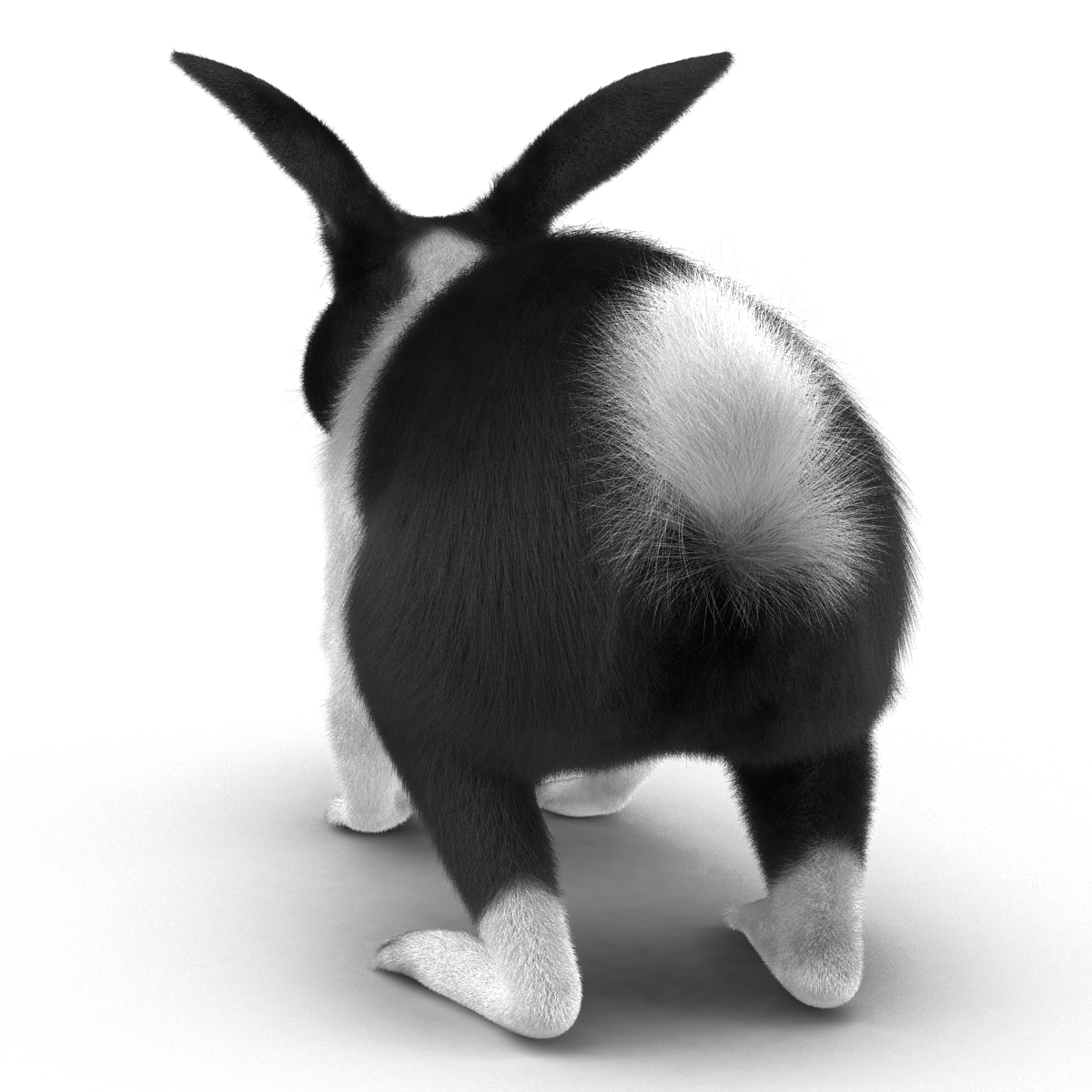 Black Rabbit 3D