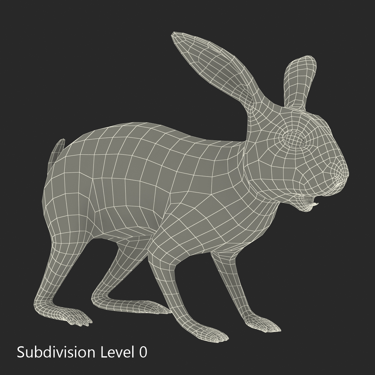 Black Rabbit 3D