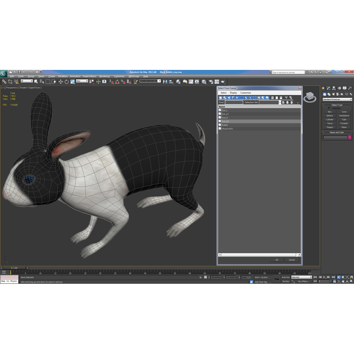 Black Rabbit 3D