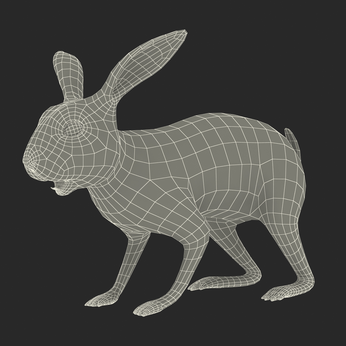 Black Rabbit 3D