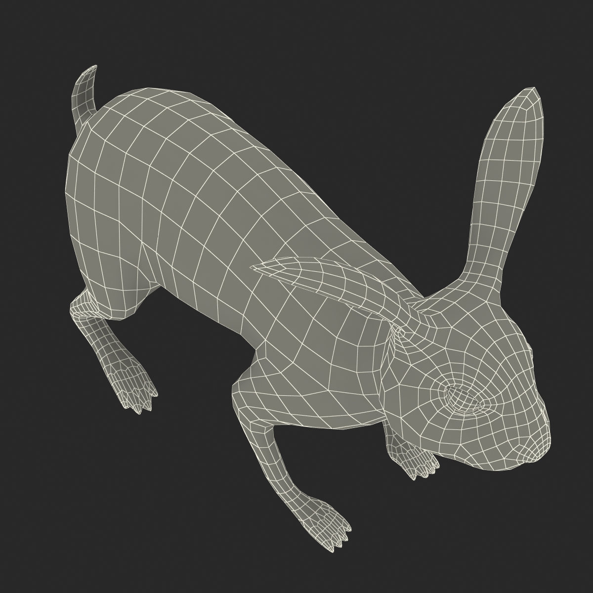 Black Rabbit 3D