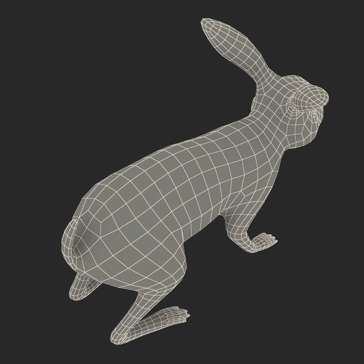 Black Rabbit 3D