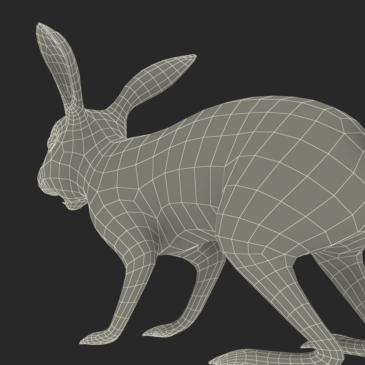 Black Rabbit 3D