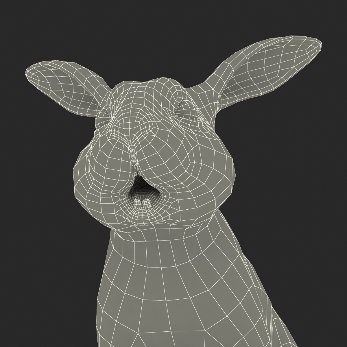 Black Rabbit 3D