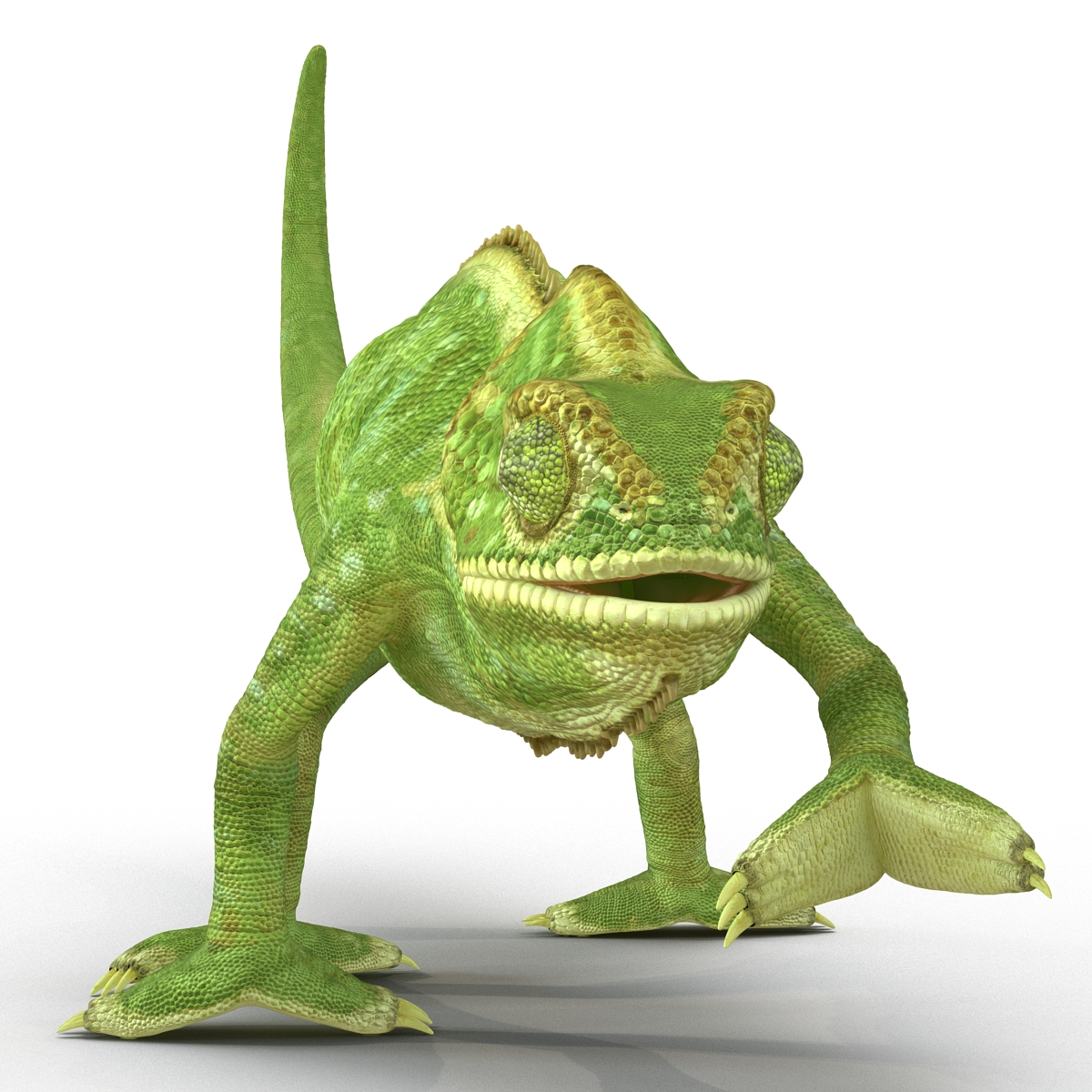 3D Chameleon Pose 3