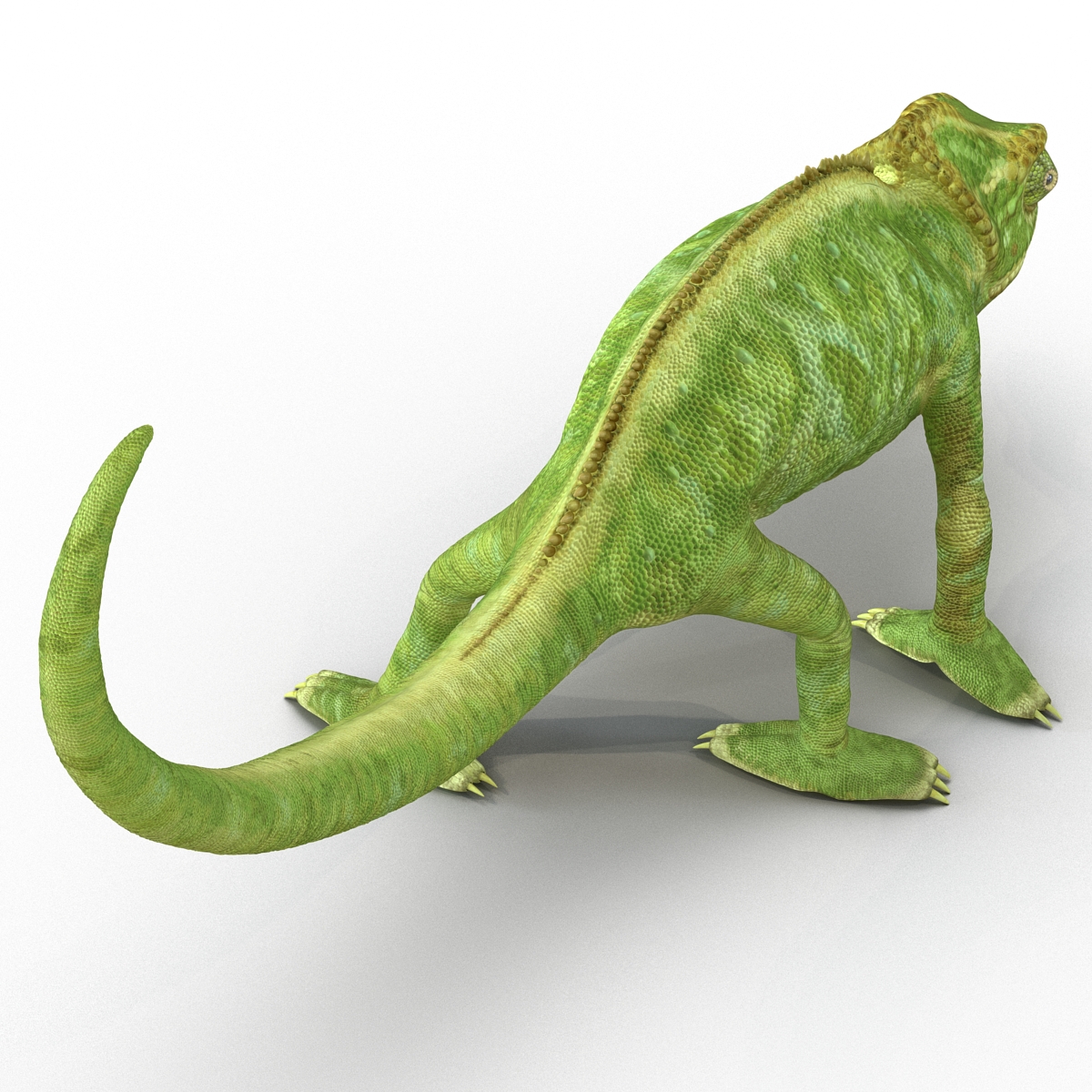 3D Chameleon Pose 3