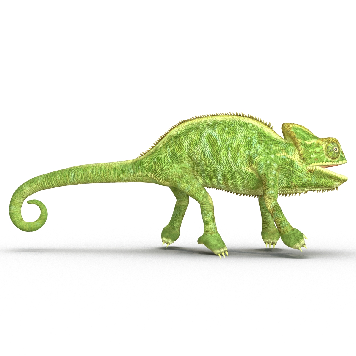 3D Chameleon Pose 4