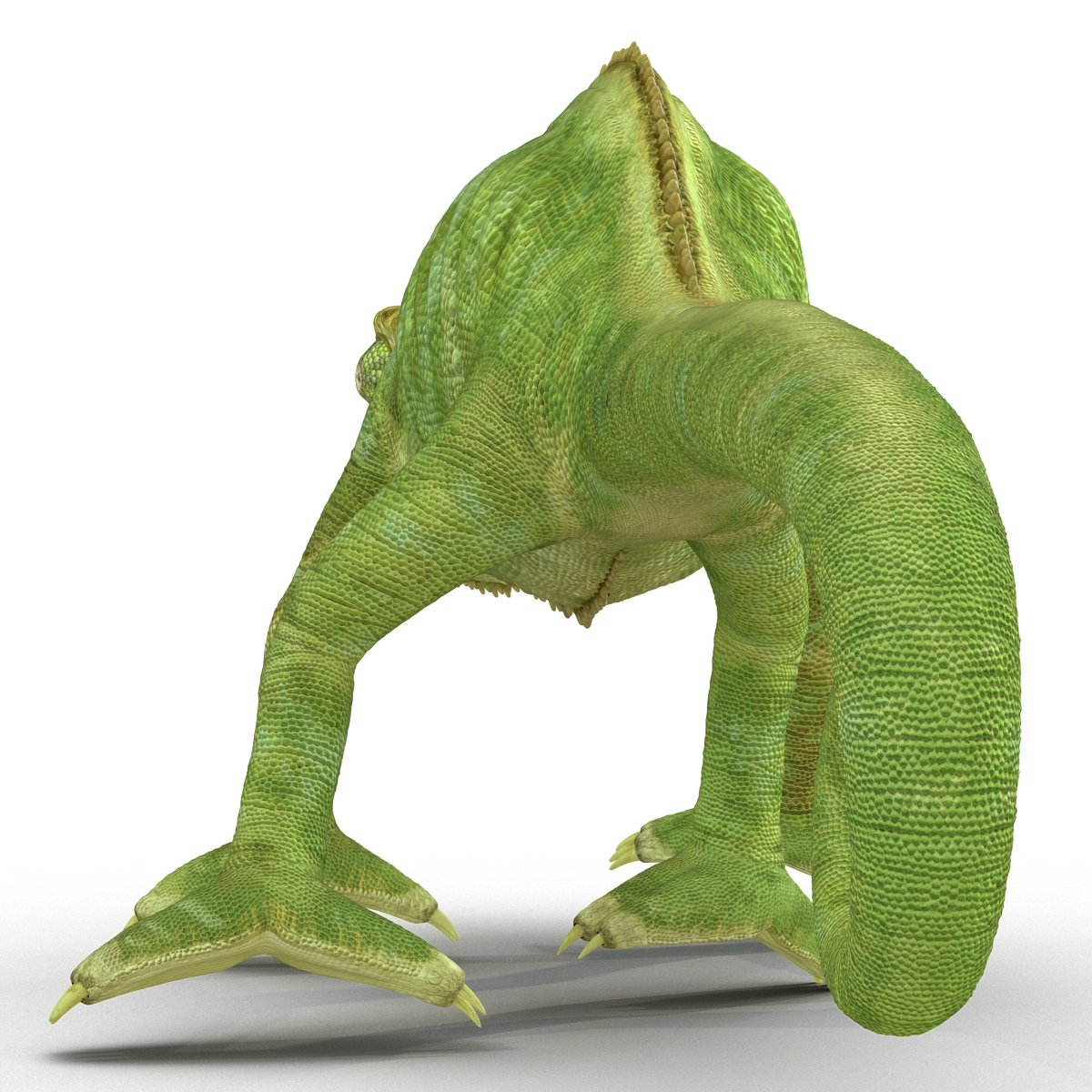 3D Chameleon Pose 4