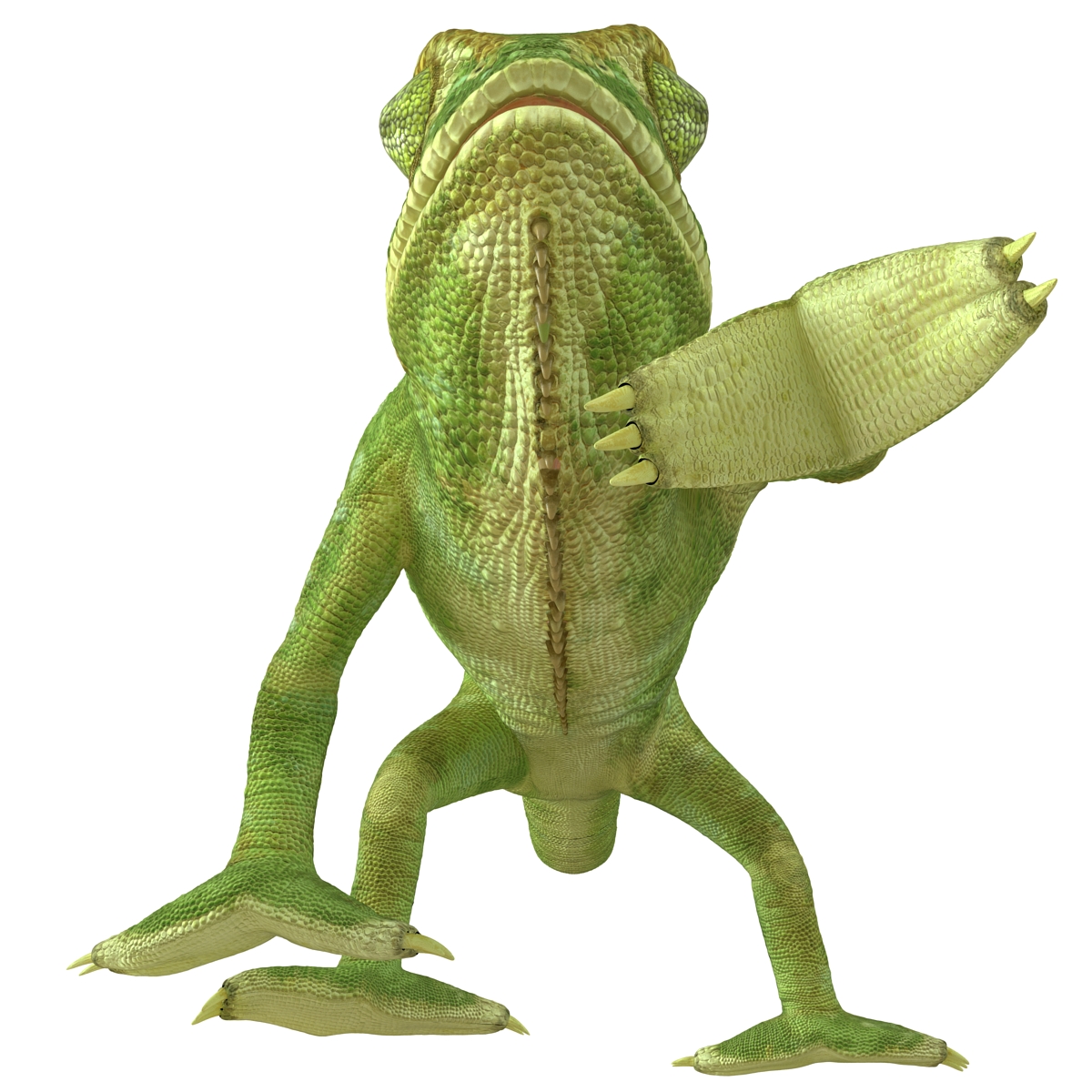 3D Chameleon Pose 3