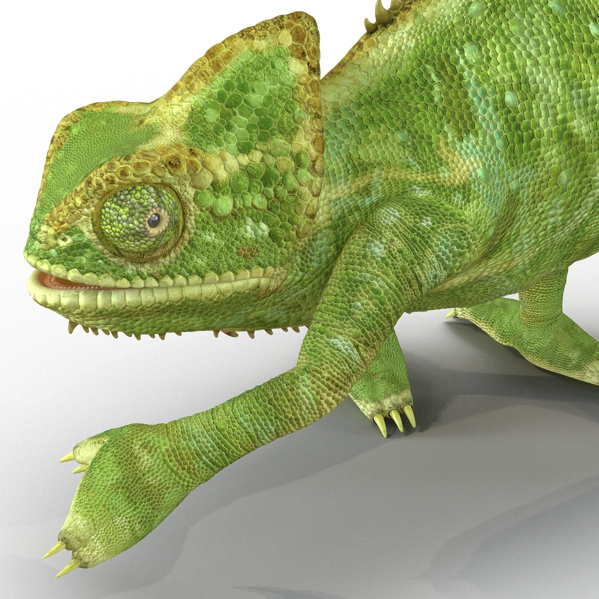 3D Chameleon Pose 3