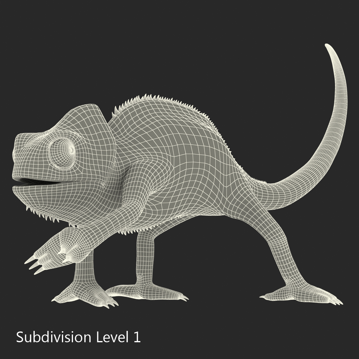 3D Chameleon Pose 3