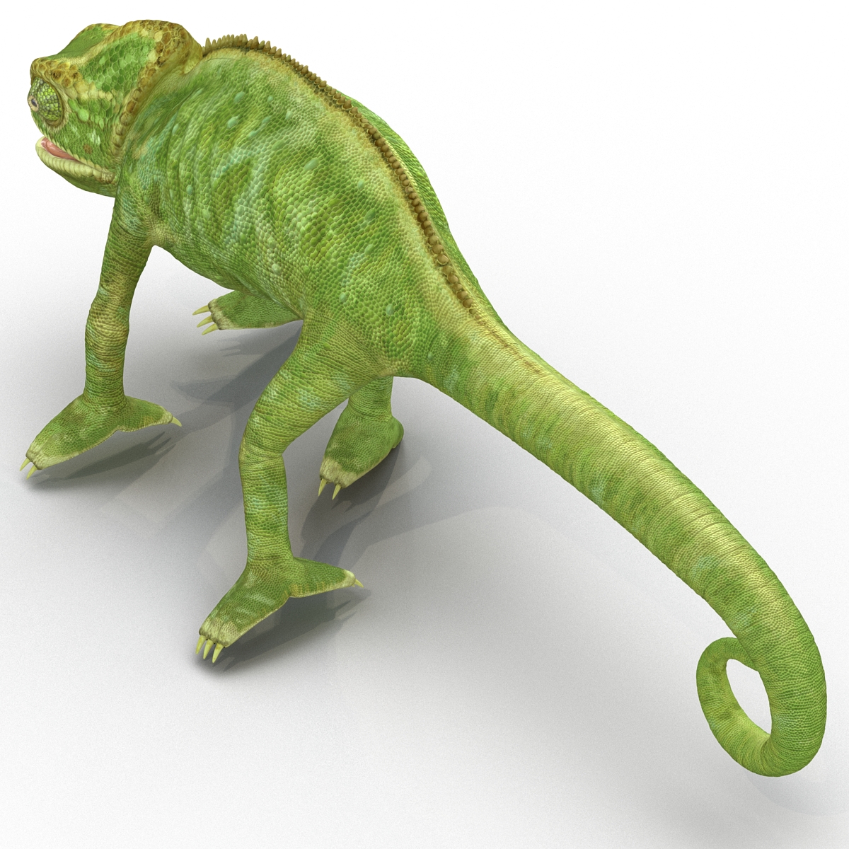 3D Chameleon Pose 4