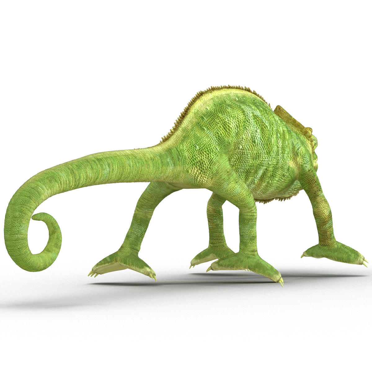 3D Chameleon Pose 4