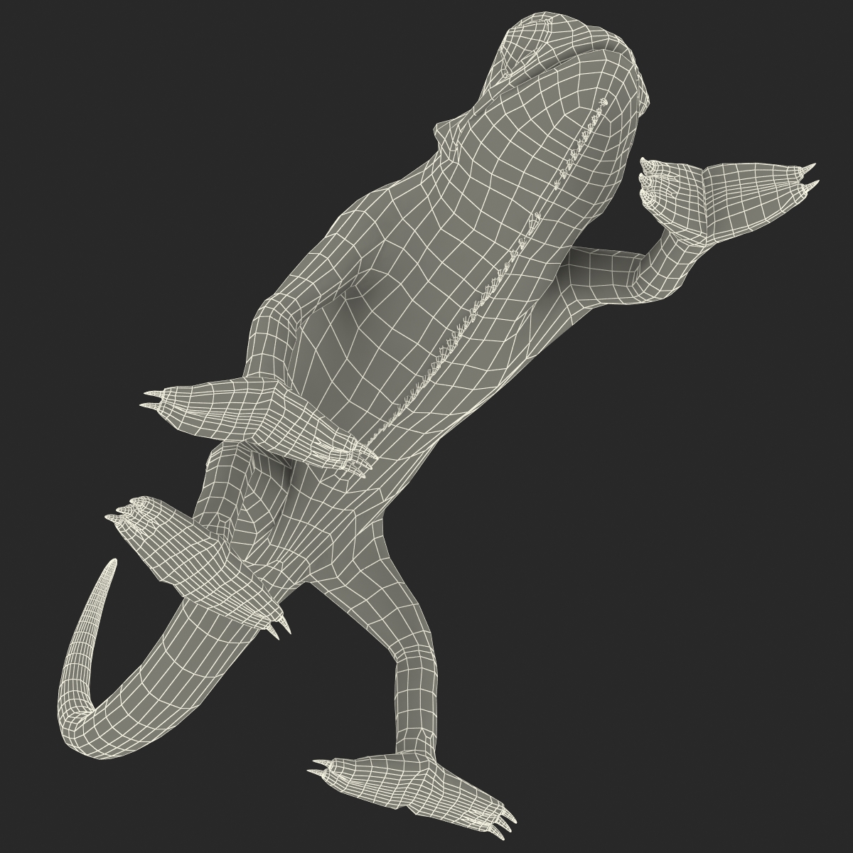 3D Chameleon Pose 3