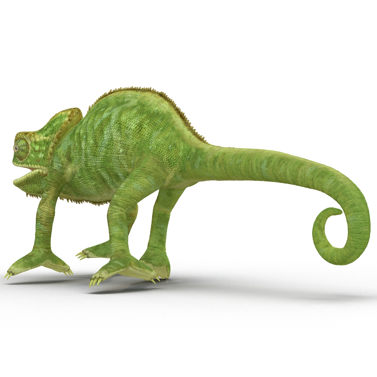 3D Chameleon Pose 4