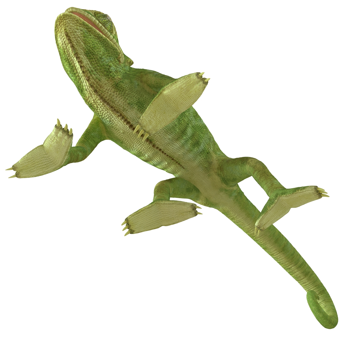 3D Chameleon Pose 4