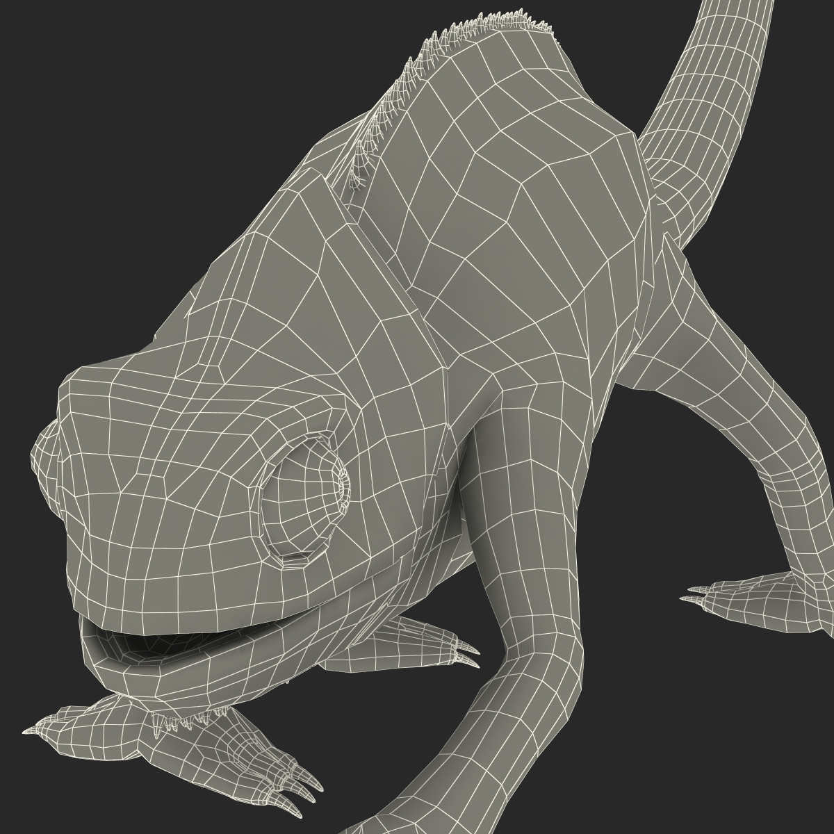 3D Chameleon Pose 3