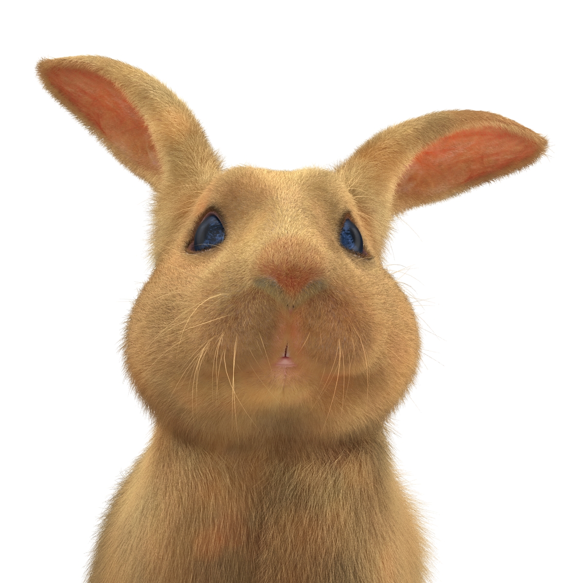 3D Rabbit Pose 3 model