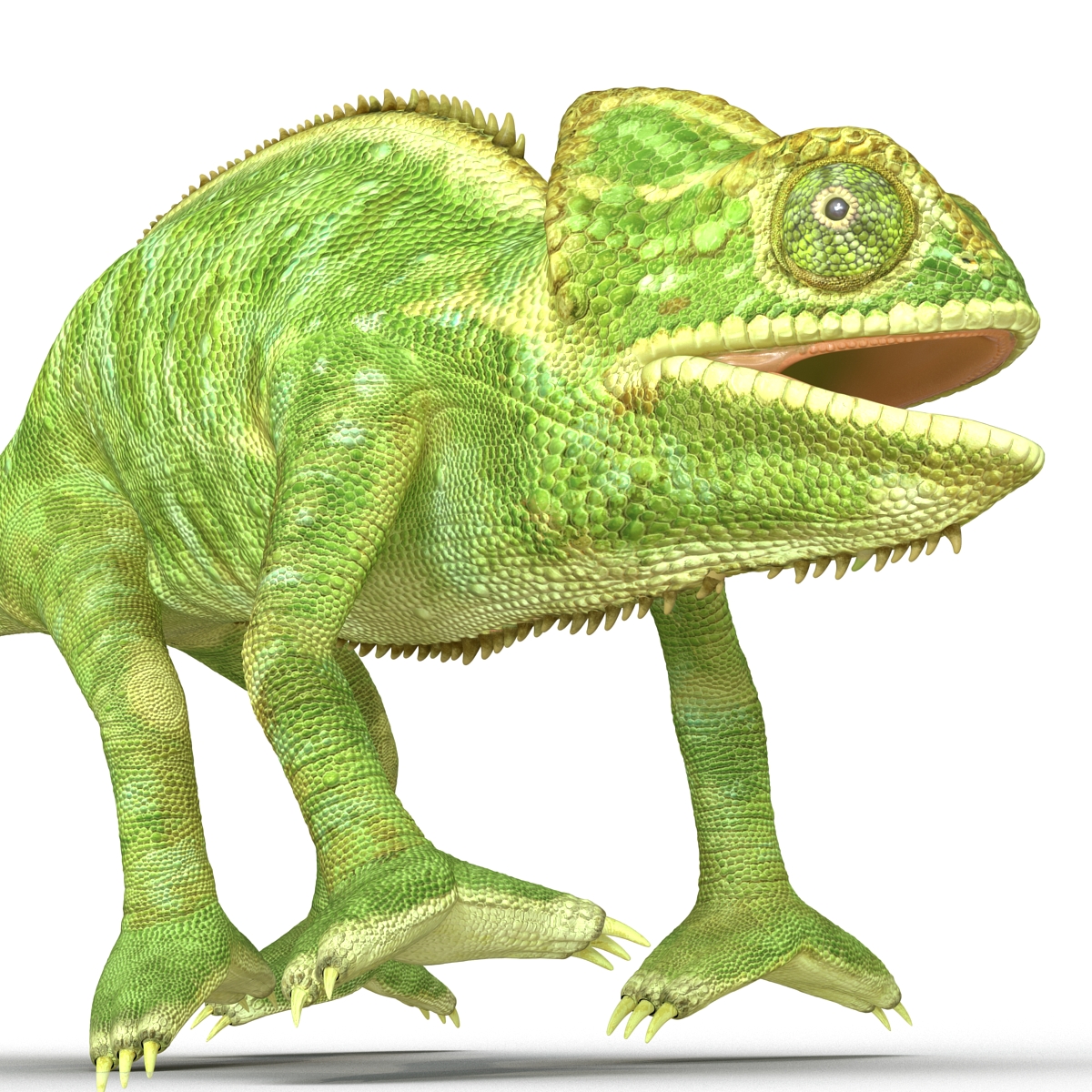 3D Chameleon Pose 4