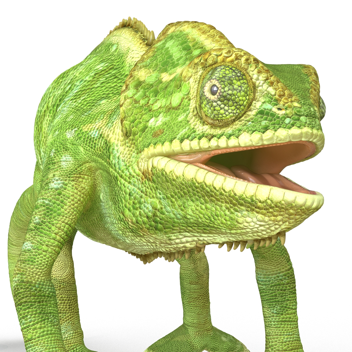 3D Chameleon Pose 4