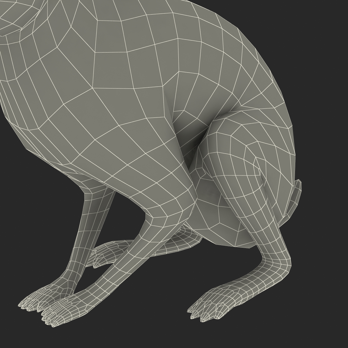 3D Rabbit Pose 3 model